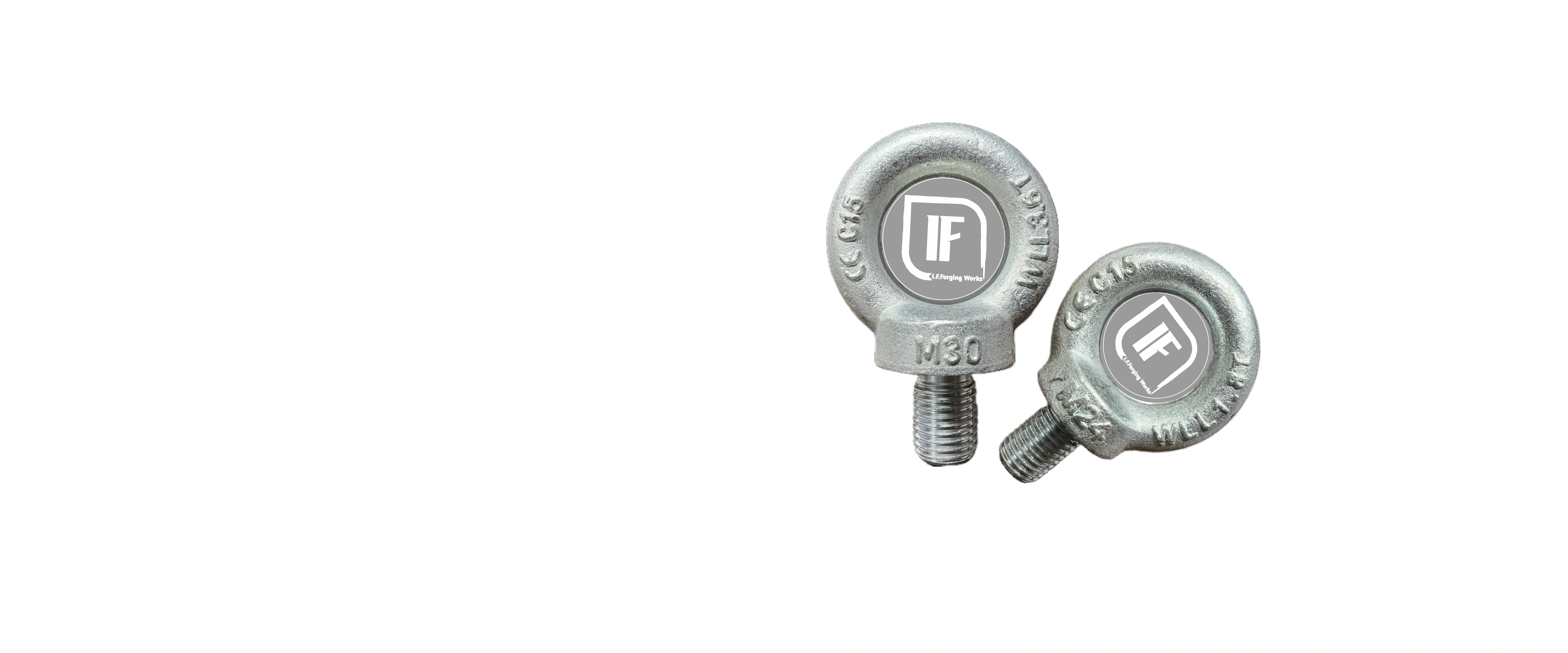 Best Eye Bolt Manufacturer in India